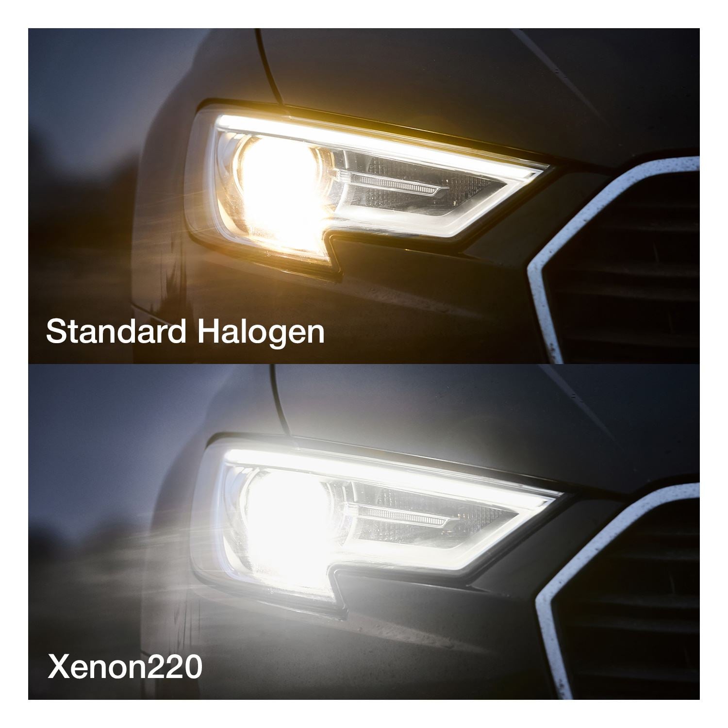 Ring RX2277 H7 Xenon220