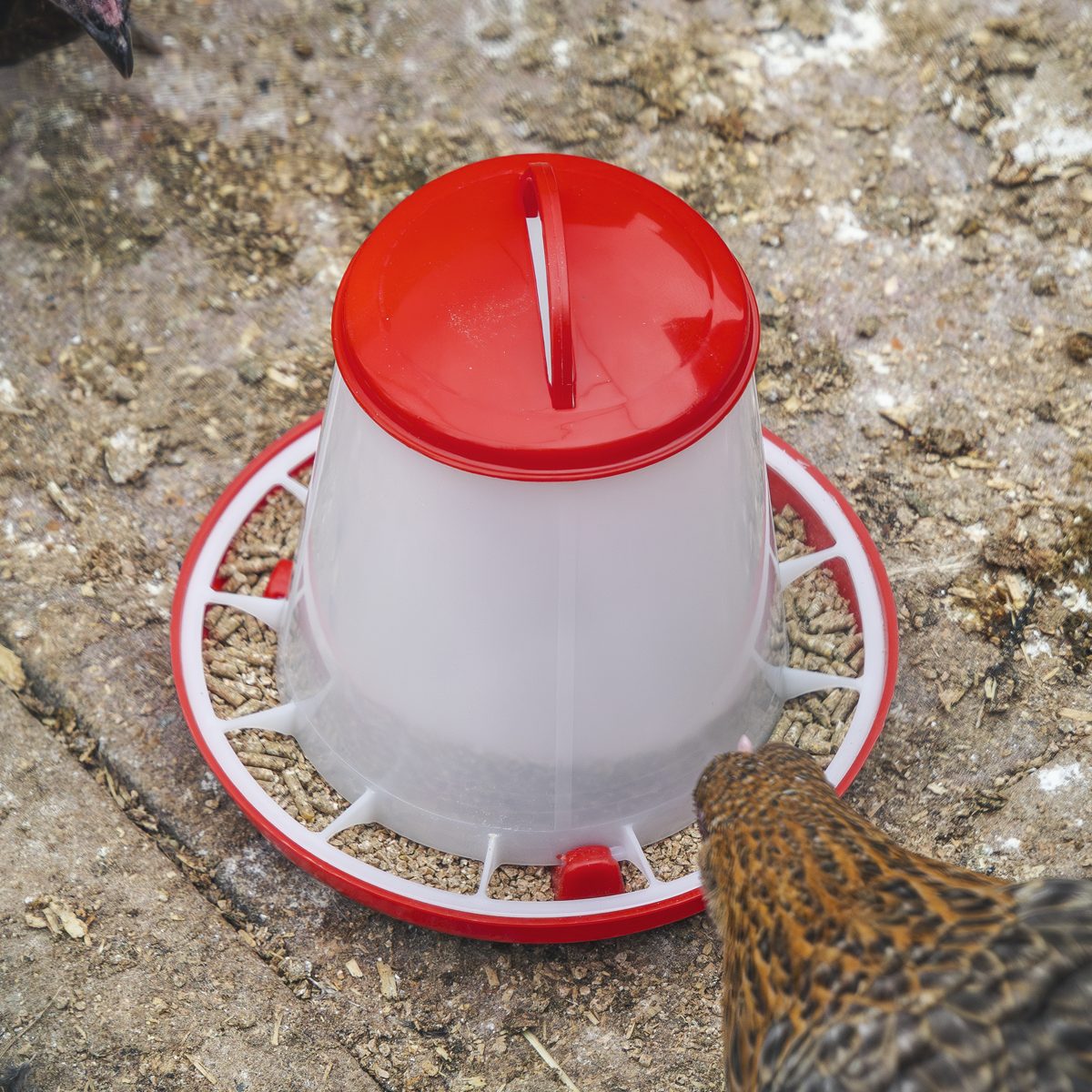 Sealey Poultry Feeder Model AFT02 1.5kg