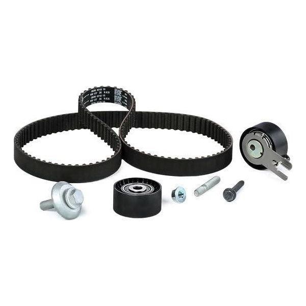 Ina Timing Belt Kit 530037510
