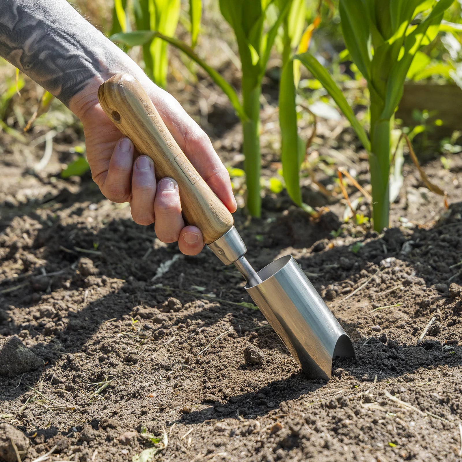 Sealey Premier Planter GTWH008 with Ash Handle 150mm