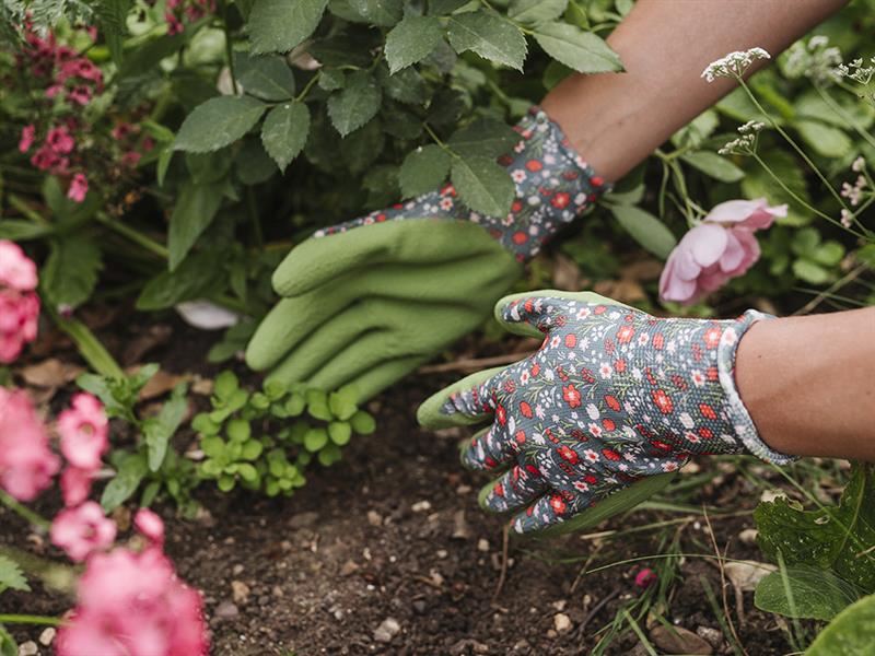 Kent & Stowe Weeding Gloves Triple Pack - Ladies Medium