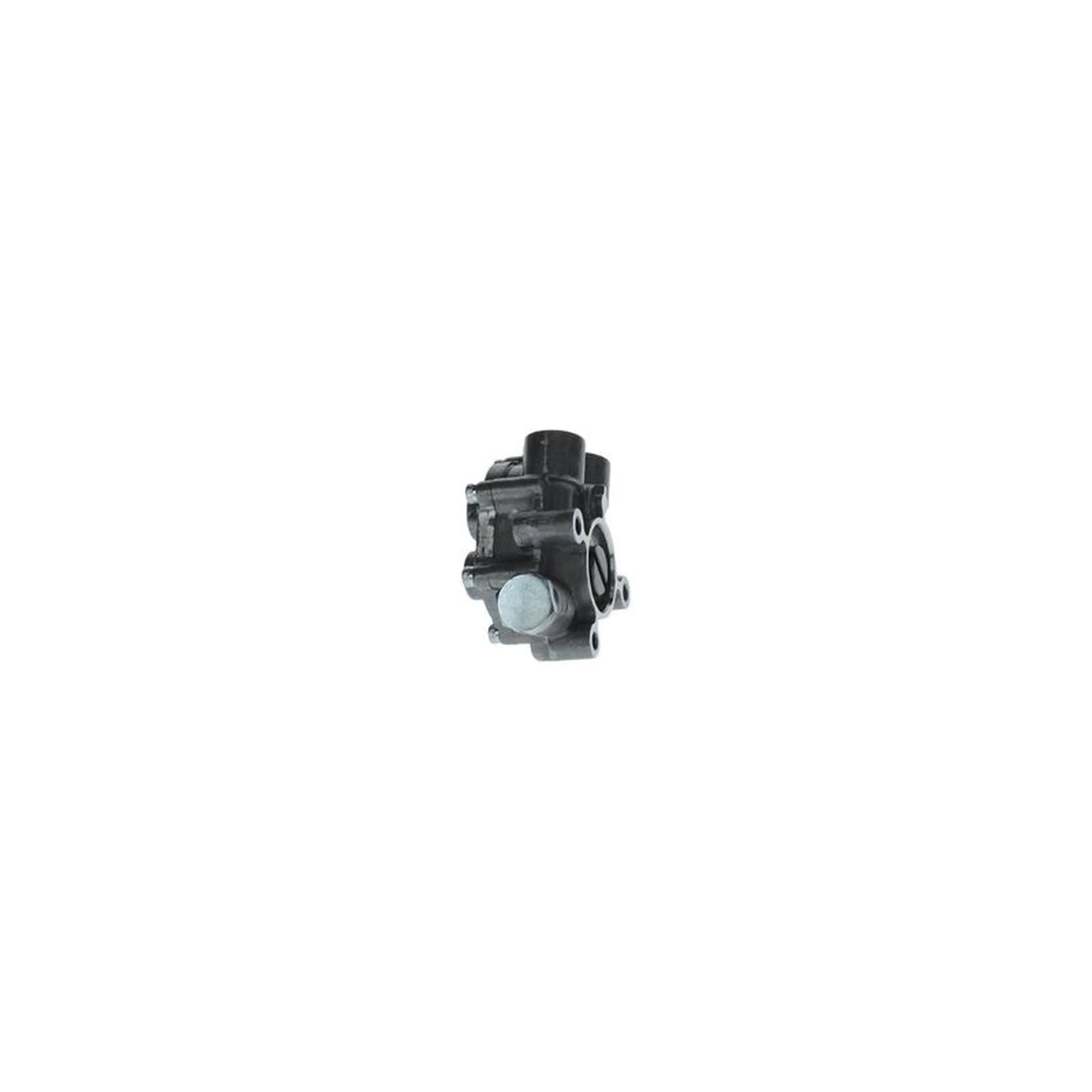 Bosch Fuel Pump Assembly K S00 003 822