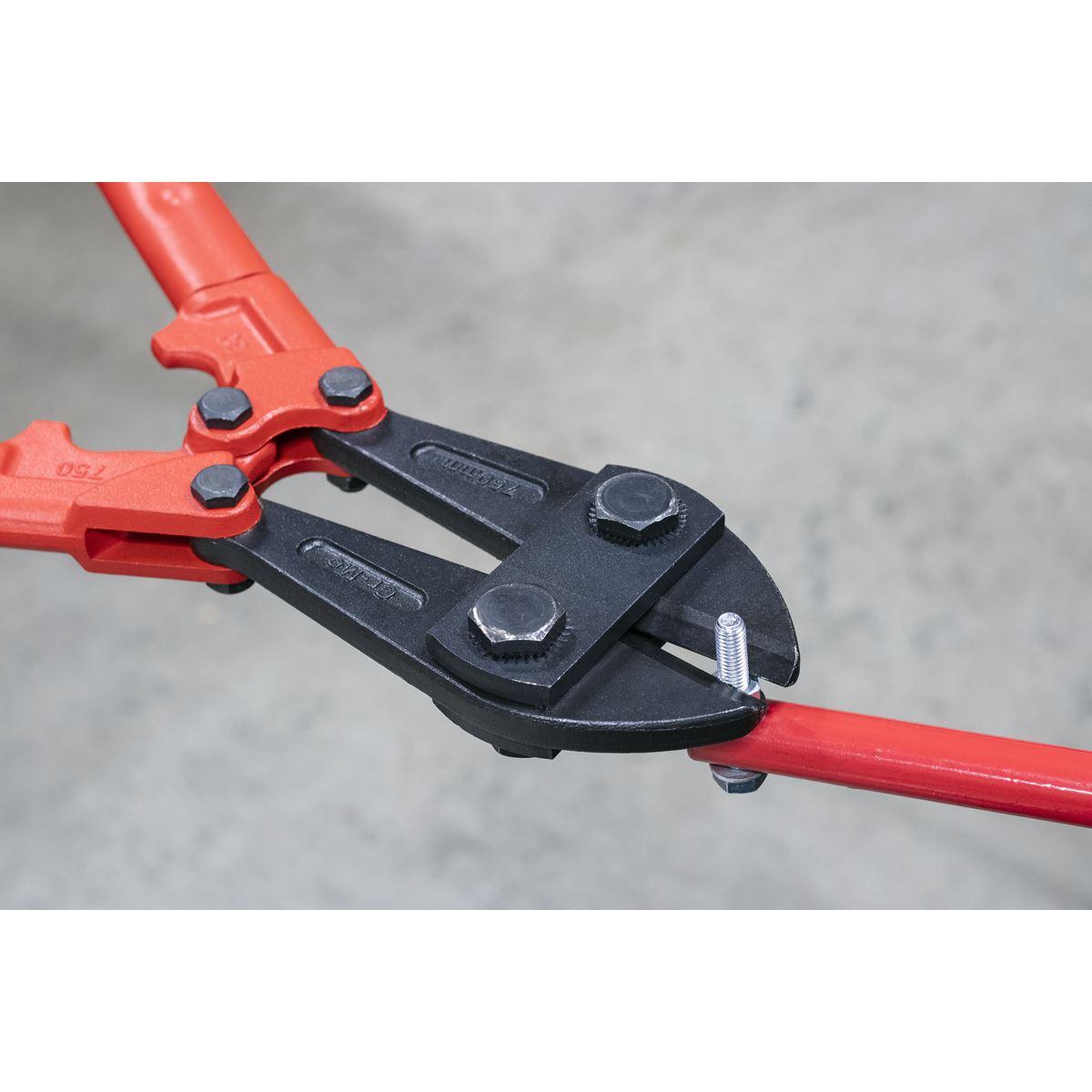 Sealey Premier Bolt Cutters 750mm 13mm Capacity AK510