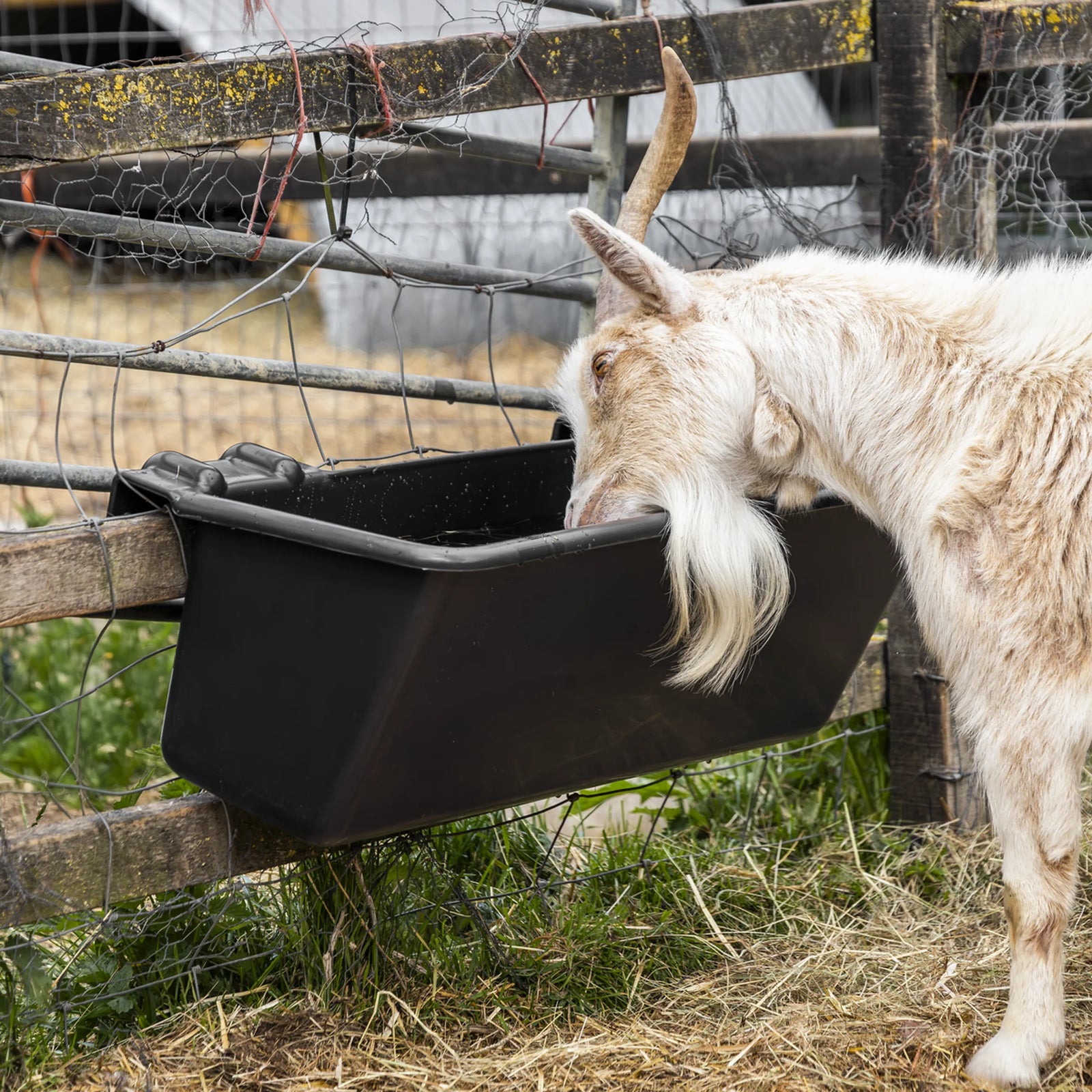 Sealey Hook-Over Trough 40L - Durable Plastic for Farm Animals