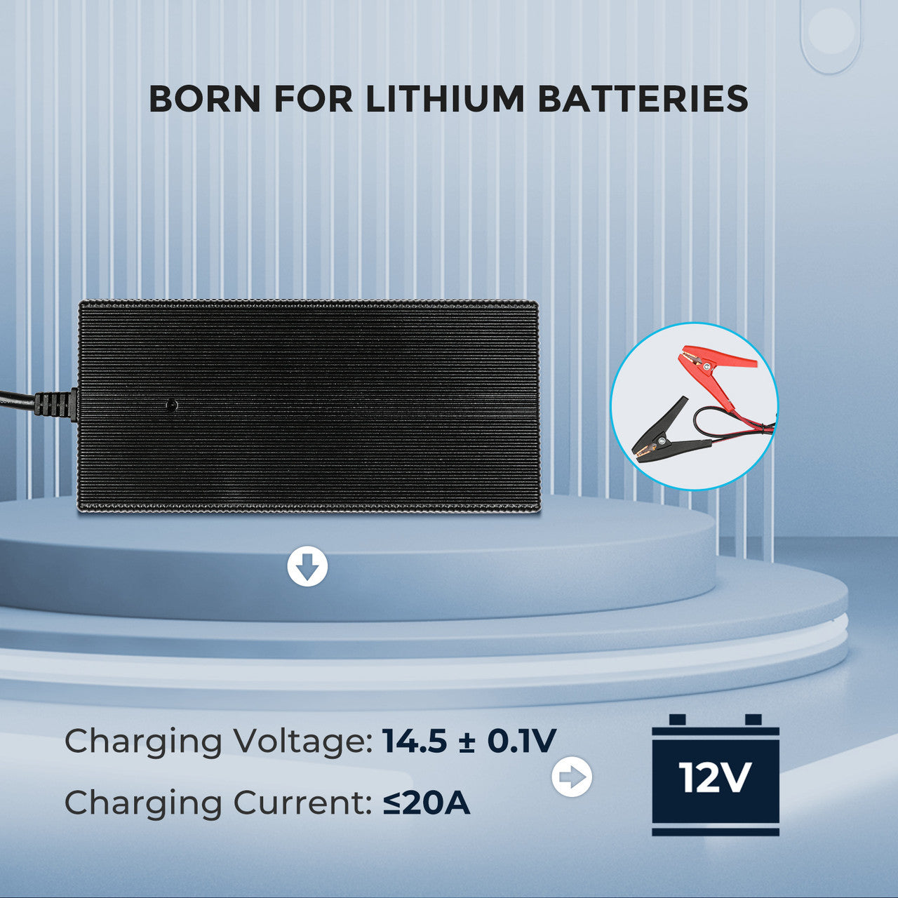 Renogy 20A 240V AC to DC Lithium Iron Phosphate Battery Charger