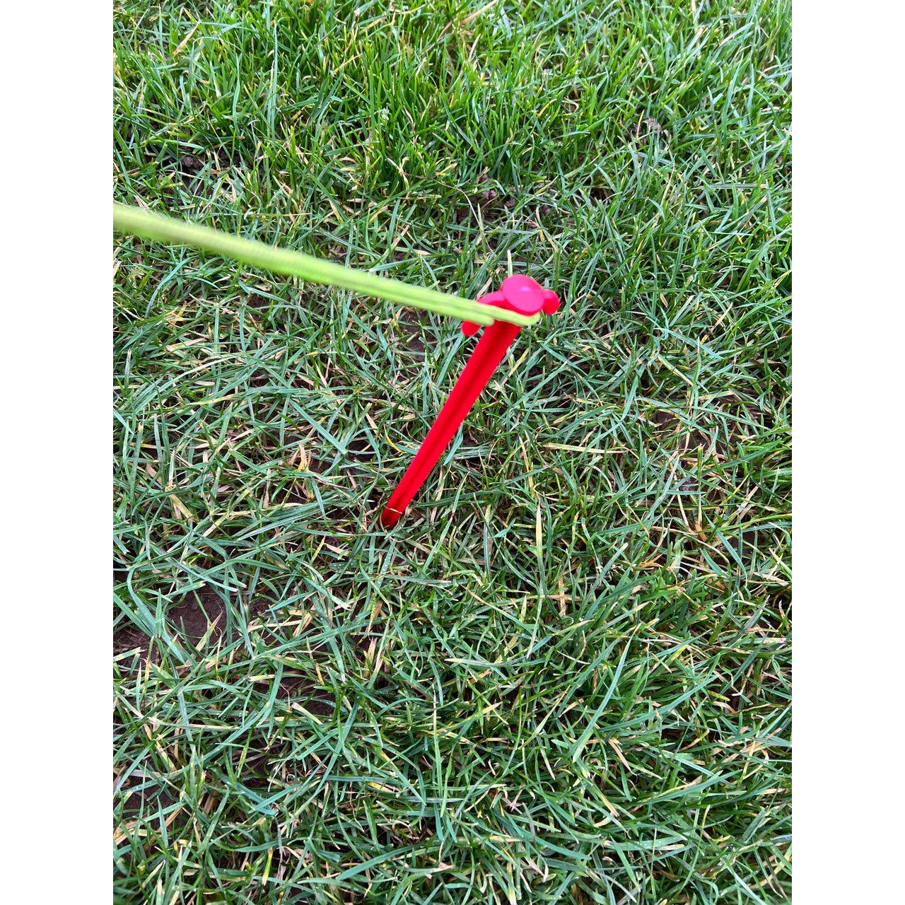 Olpro Pack of 6 Extra long 30cm Plastic Tent Pegs