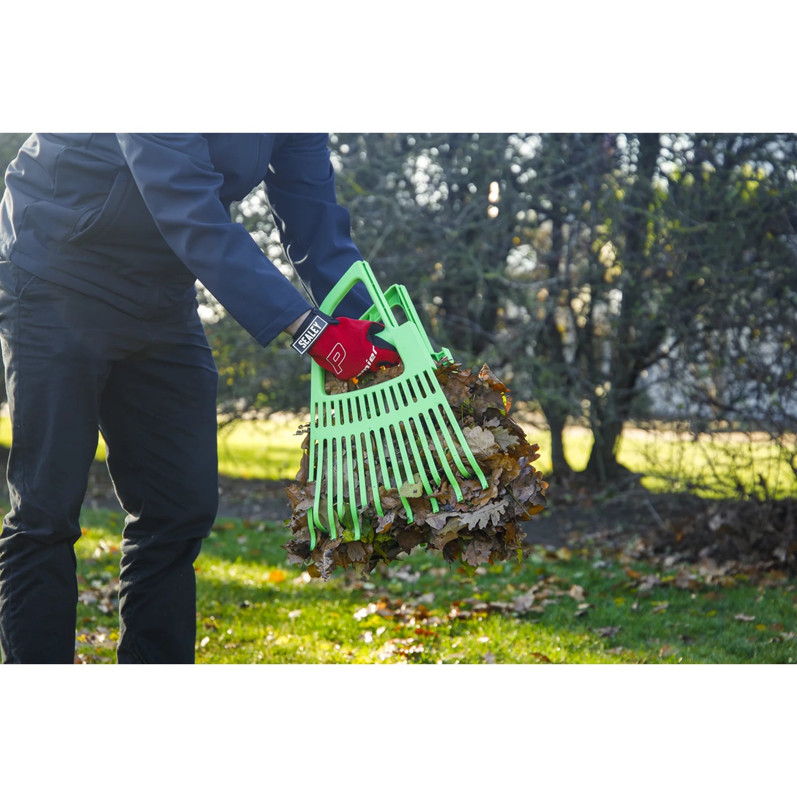 Sealey 2-in-1 Rake & Leaf Grabber GTLG2 620mm Wide
