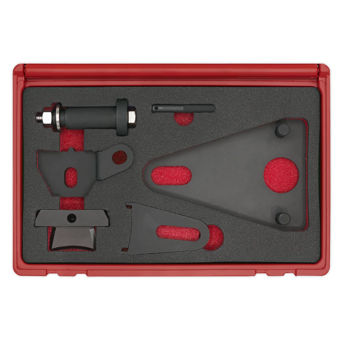 Sealey Front Pulley & Flywheel Locking Tool Set VSE5032