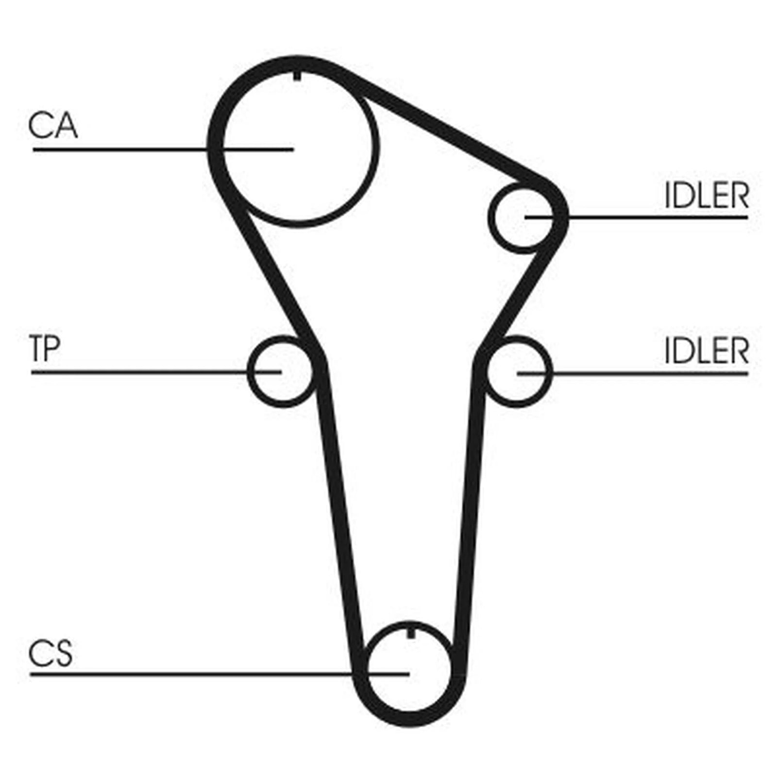 Continental CTAM Timing Belt Cambelt 125 Teeth CT899