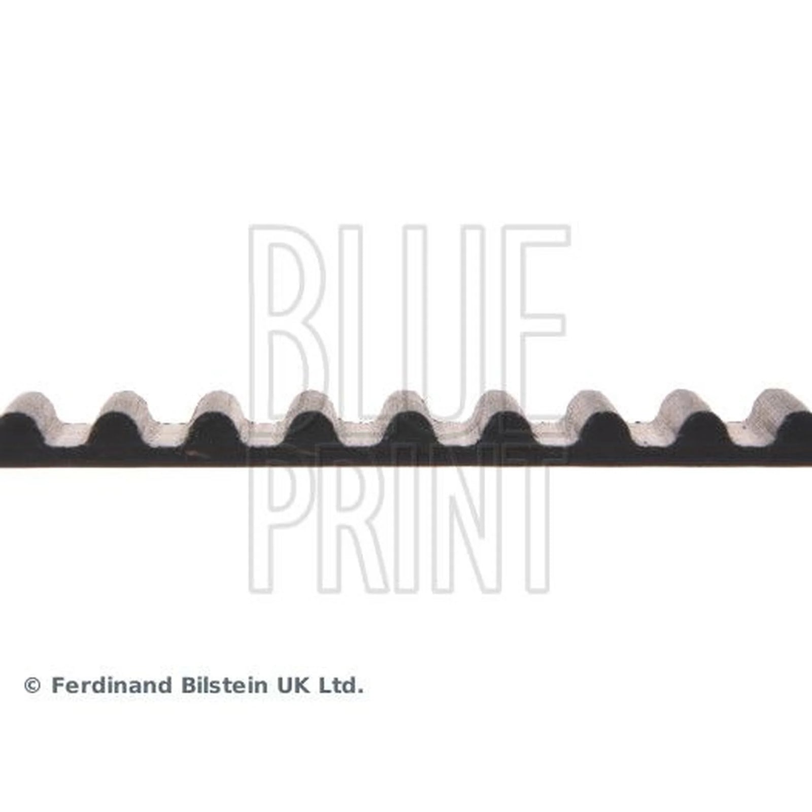 Blue Print Timing Belt Cambelt 113 Teeth ADH27521