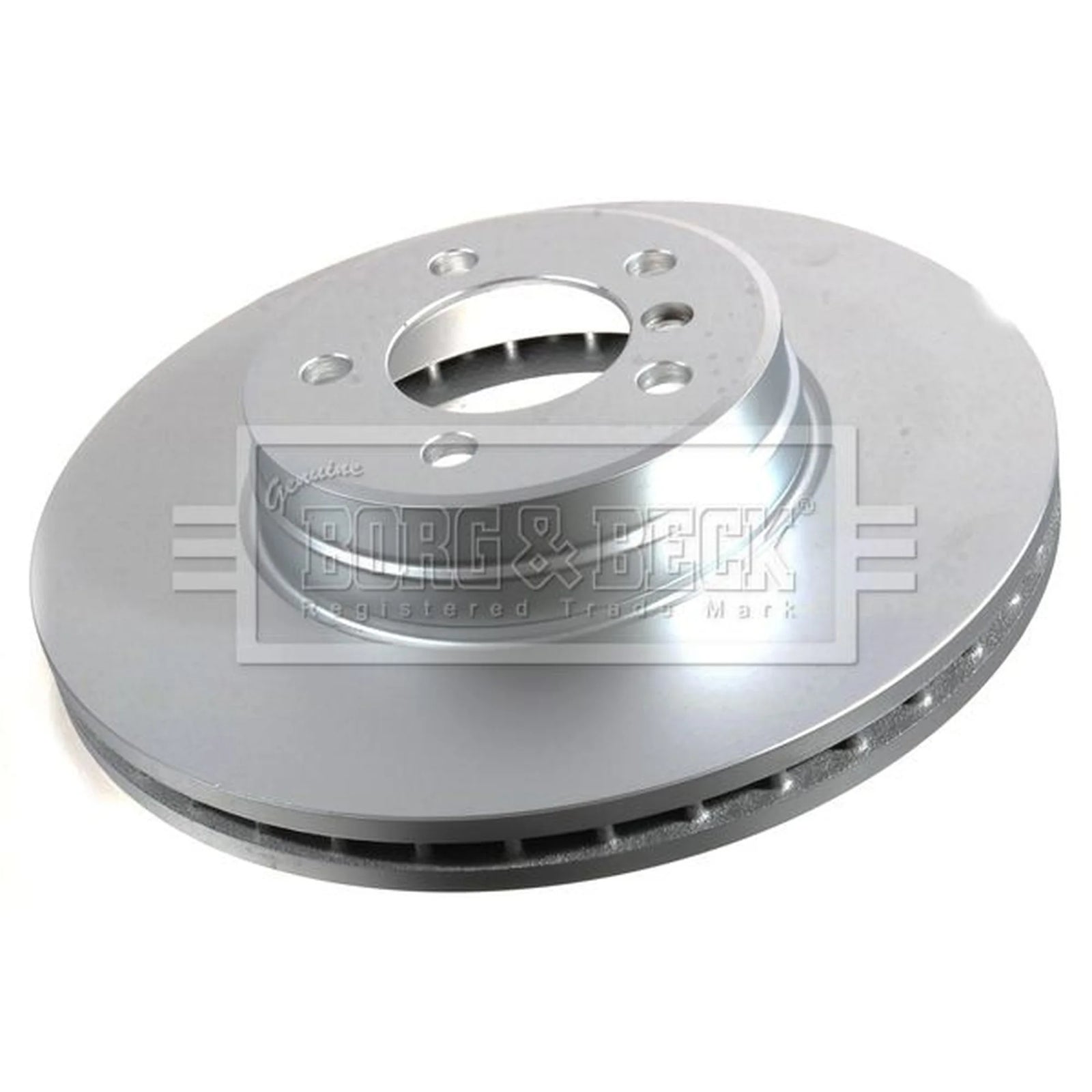 Borg & Beck 2 x Front Brake Discs BBD5919S
