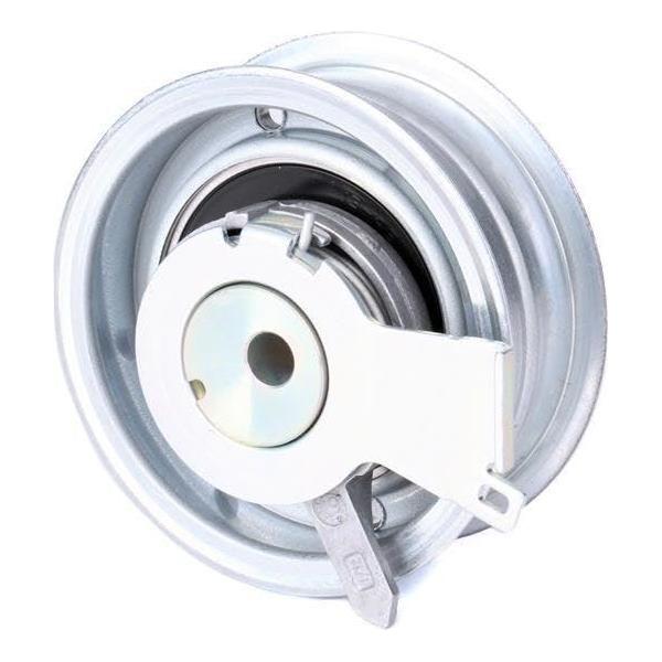 Ina Timing Belt Kit 530017110