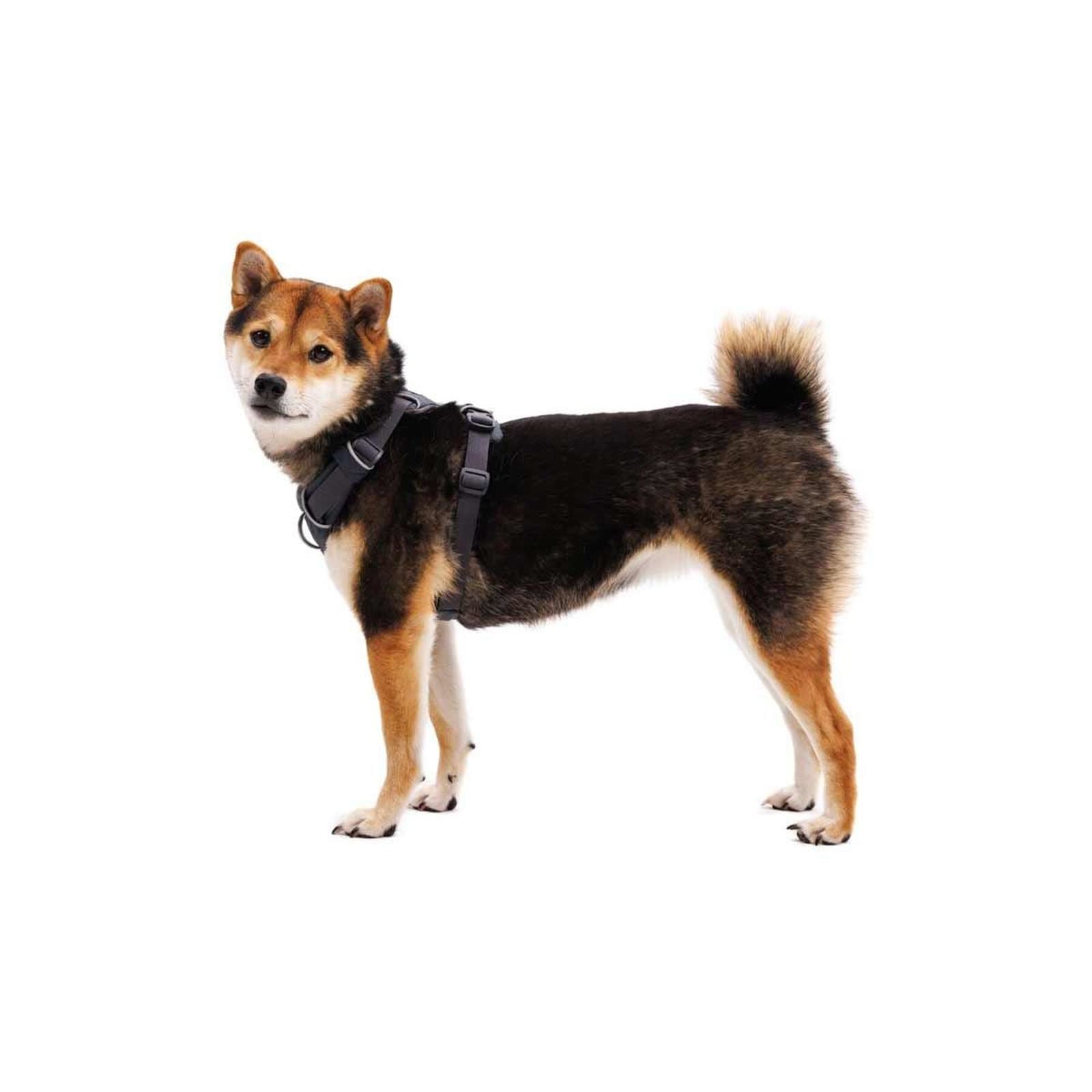 Ruffwear Front Range Dog Harness in Basalt Grey (Medium)