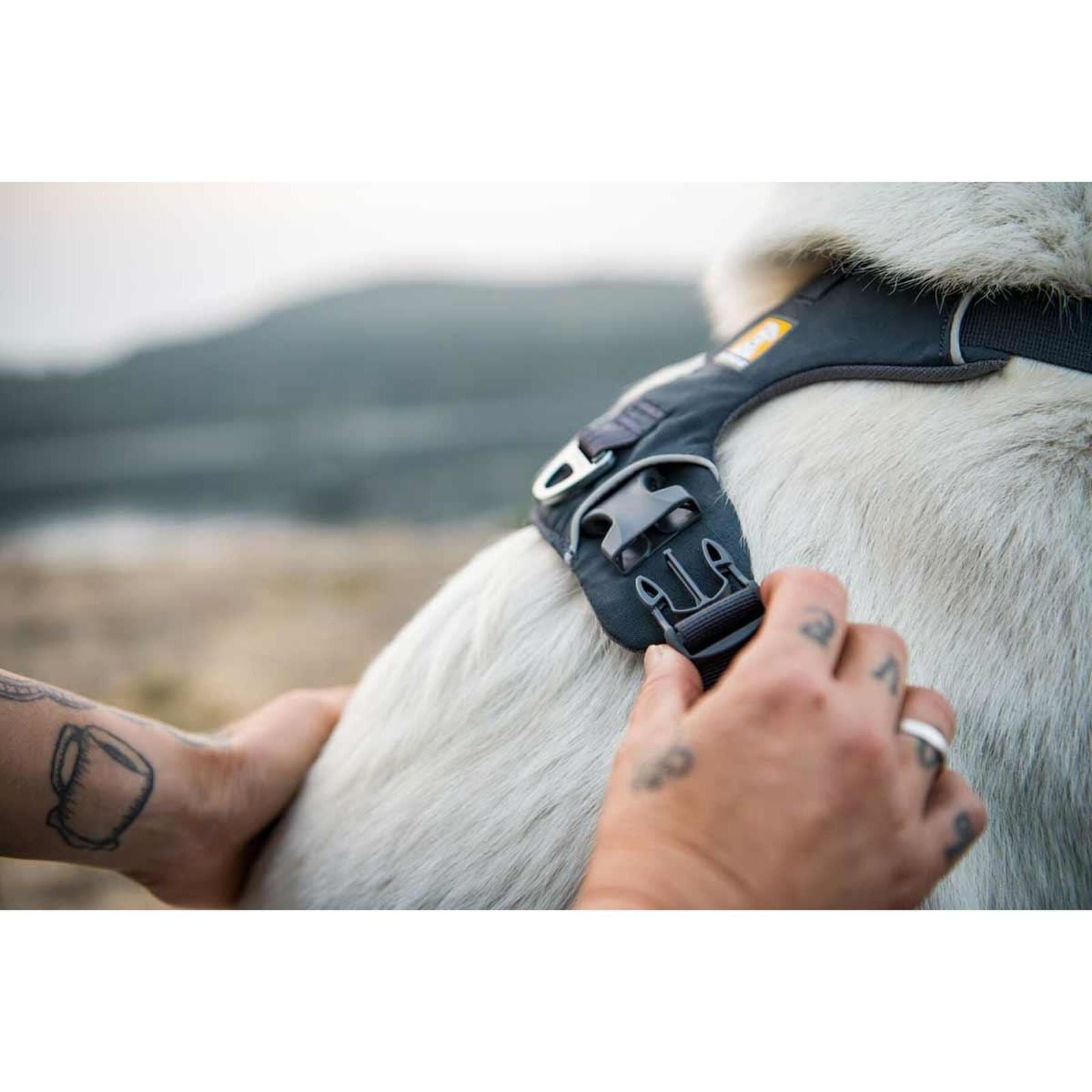 Ruffwear Front Range Dog Harness in Basalt Grey (Medium)