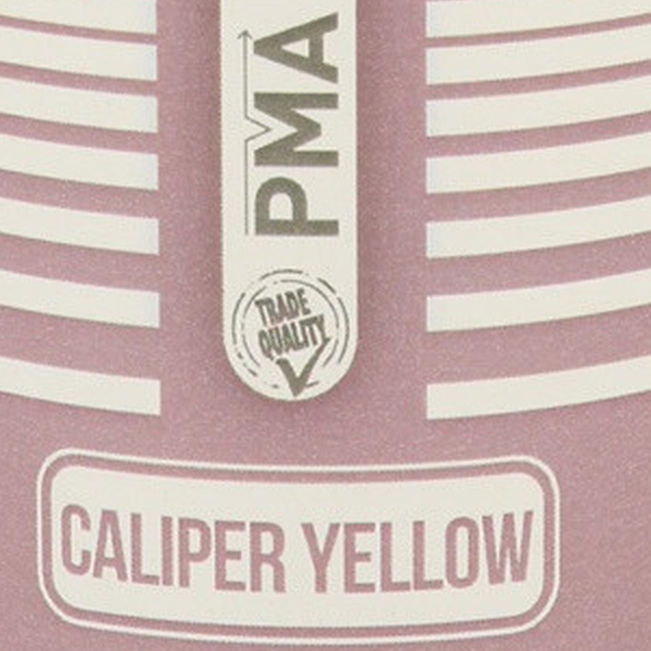 PMA Caliper Paint Yellow Brushcan 250ml