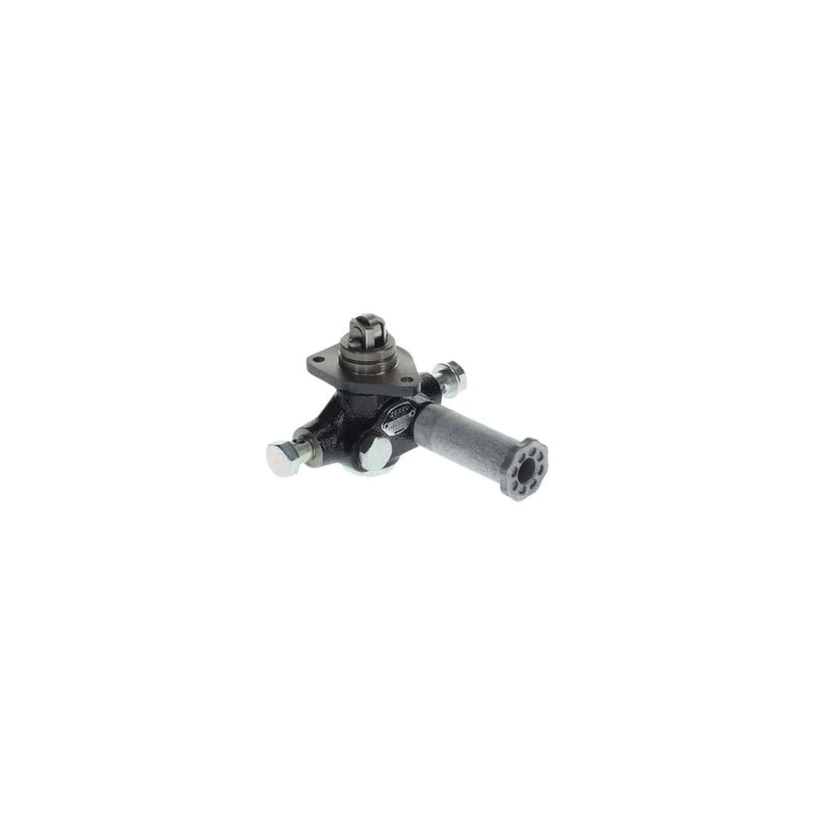 Bosch Fuel Pump Assembly H 105 217 173