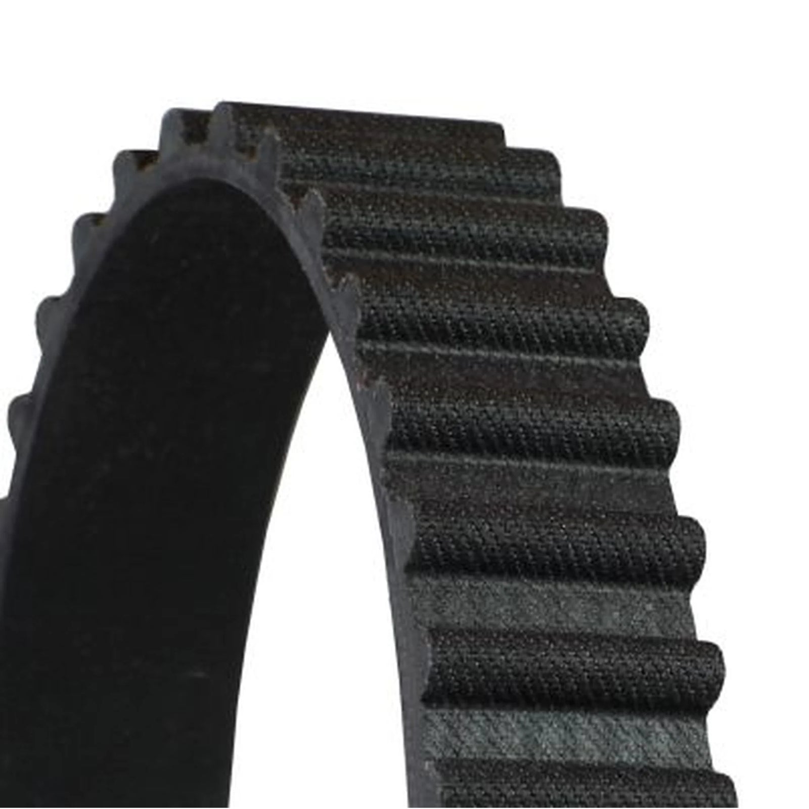 Continental CTAM Timing Belt Cambelt 143 Teeth CT710