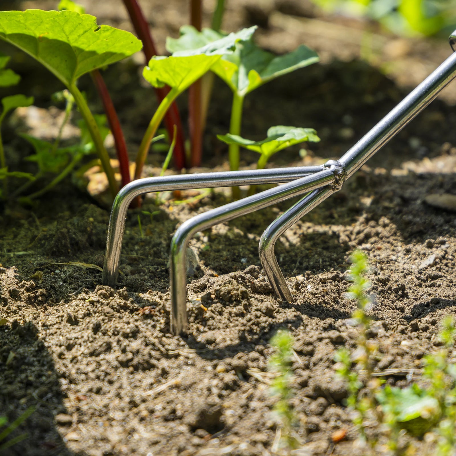 Sealey Premier Cultivator GTWH005 135mm Short Ash Handle