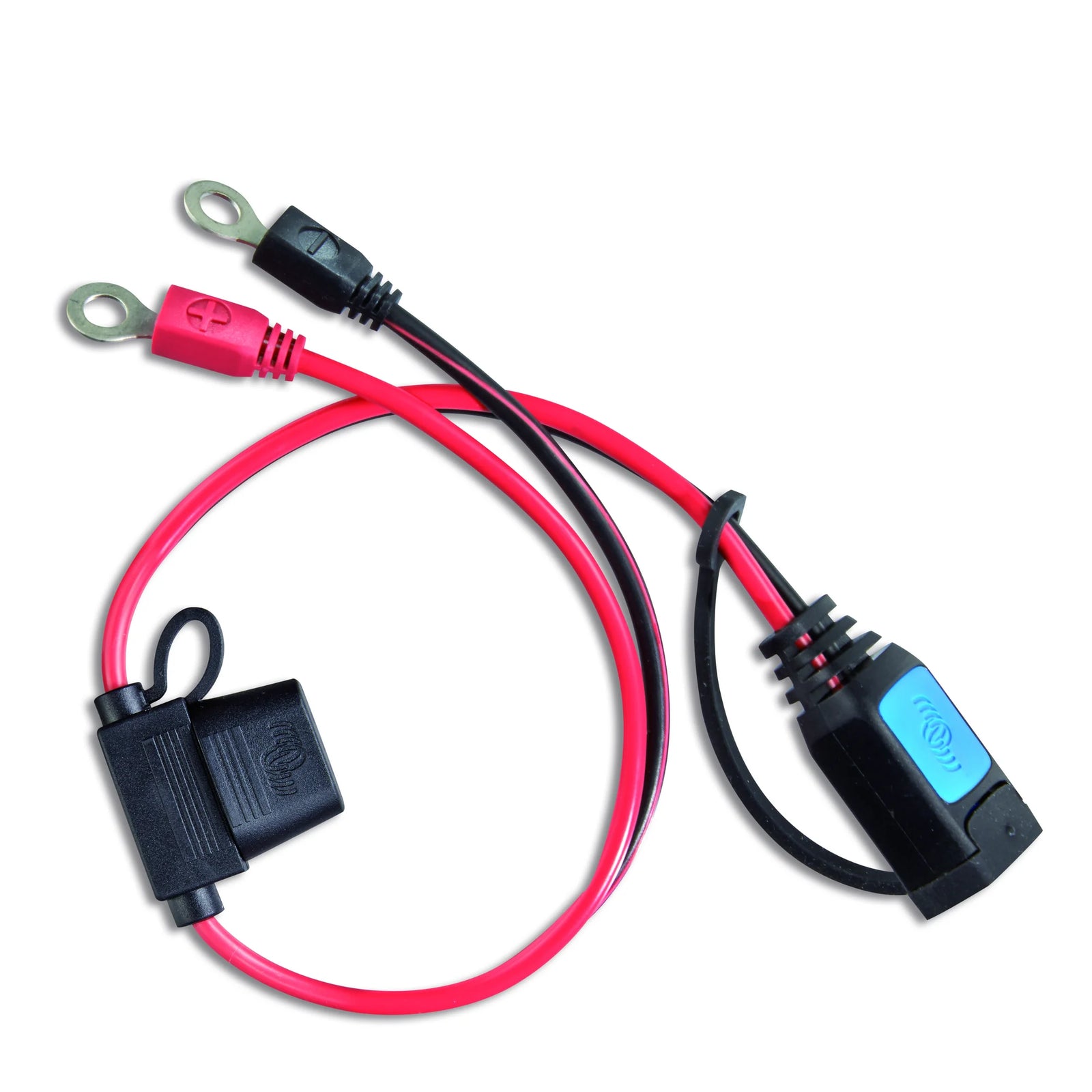 Victron M8 Eyelet Connector with 30A ATO Fuse