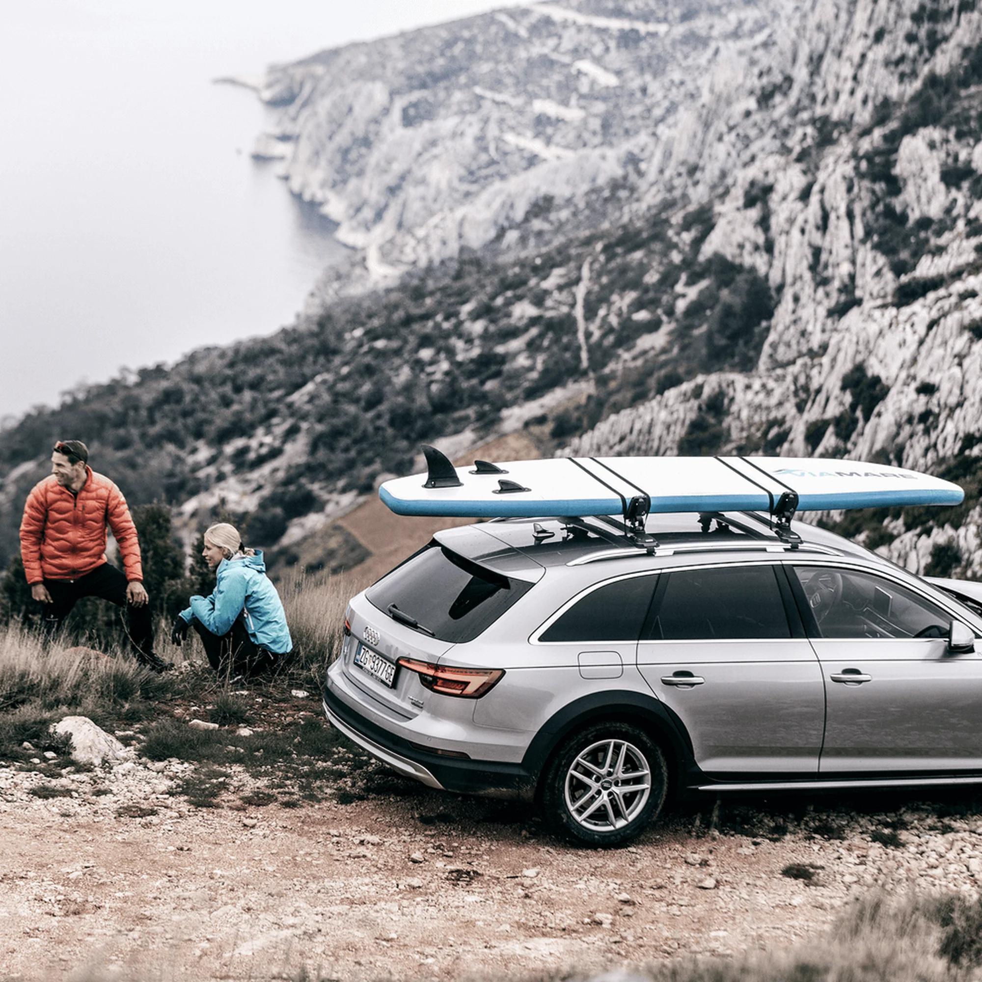Thule DockGrip Roof Rack - MPN 895000