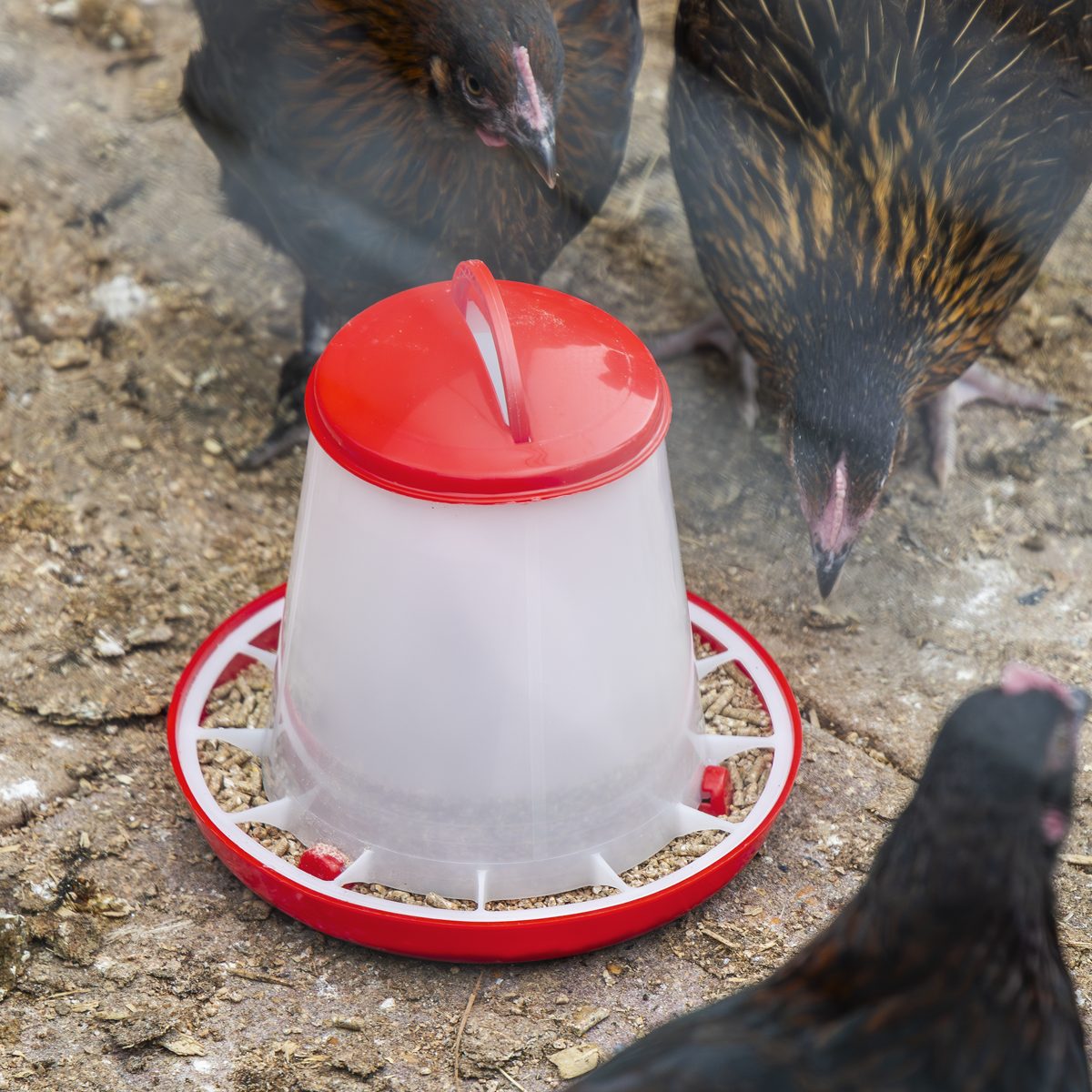 Sealey Poultry Feeder Model AFT02 1.5kg