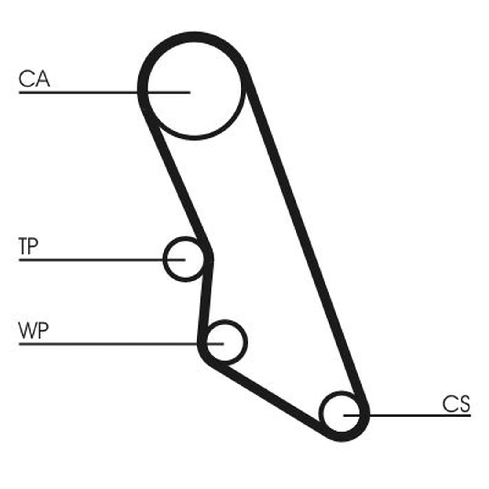 Continental CTAM Timing Belt Cambelt 114 Teeth CT865