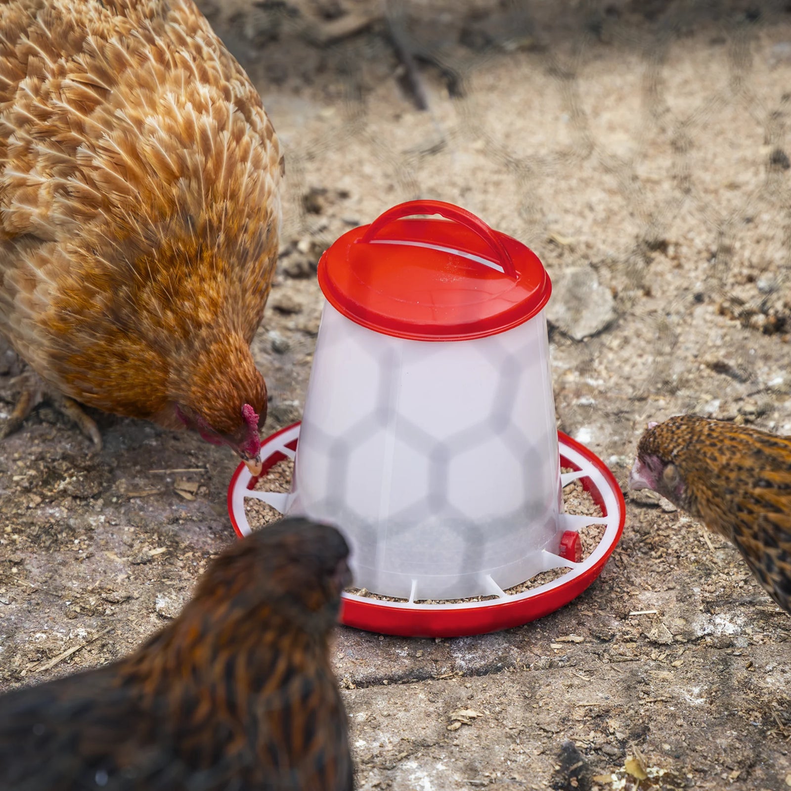 Sealey Poultry Feeder 1.5kg - Pack of 5