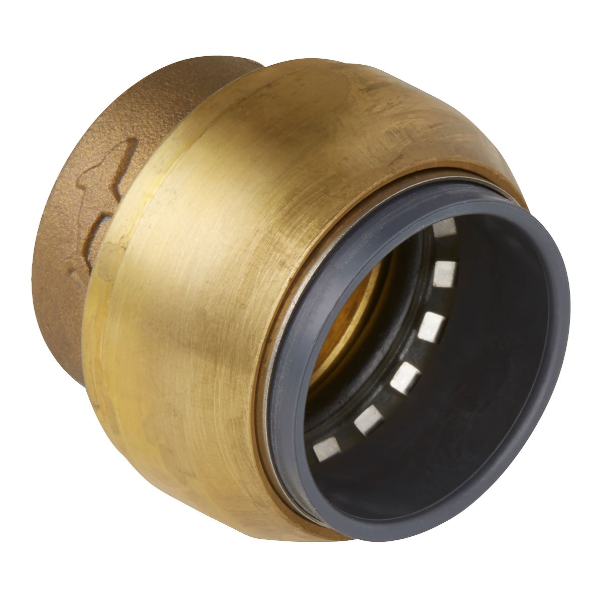Sealey SharkBiteï Line End Plug22mm SBA22P