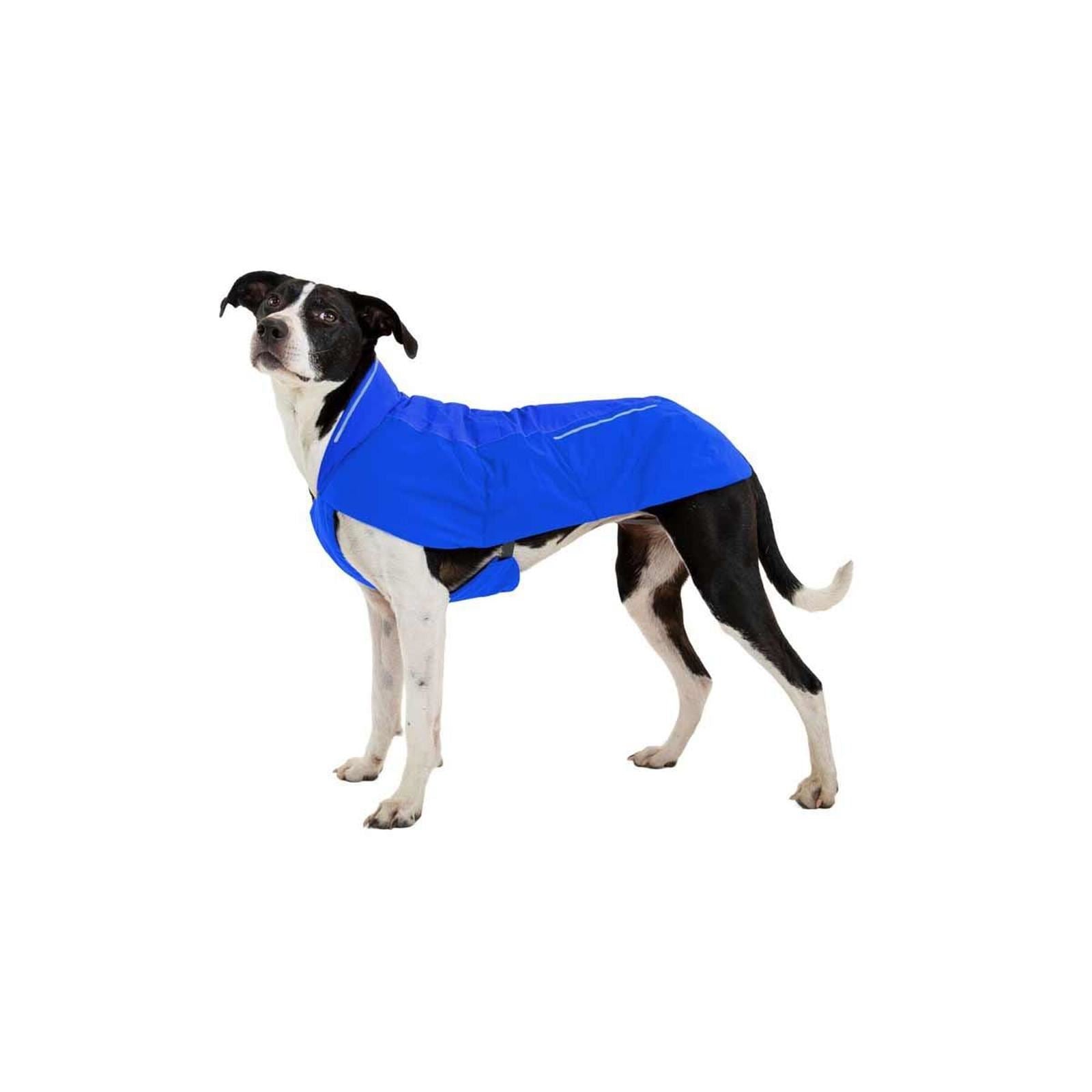 Ruffwear Vert Dog Jacket in Blue Pool (Small)