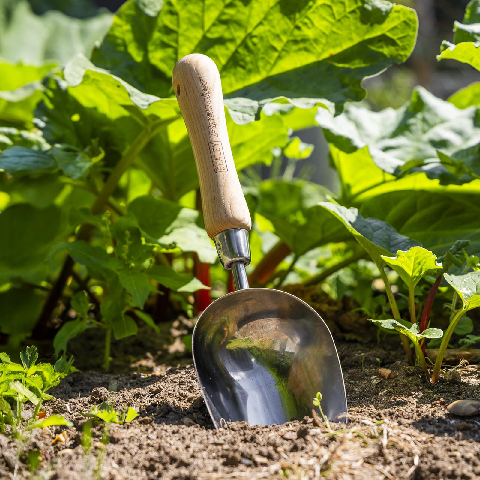 Sealey Premier Garden Scoop GTWH006 170mm Stainless Steel Head