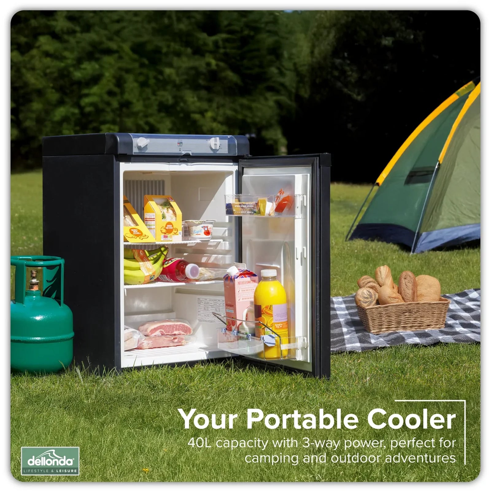 Dellonda 3-Way Fridge 40L Portable Camping Cooler