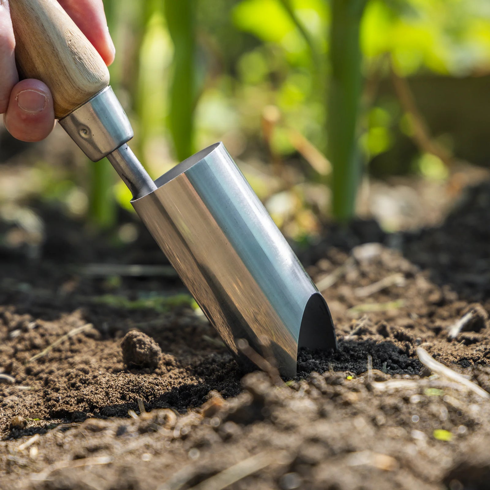 Sealey Premier Planter GTWH008 with Ash Handle 150mm