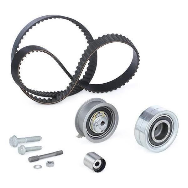 Ina Timing Belt Kit 530036110