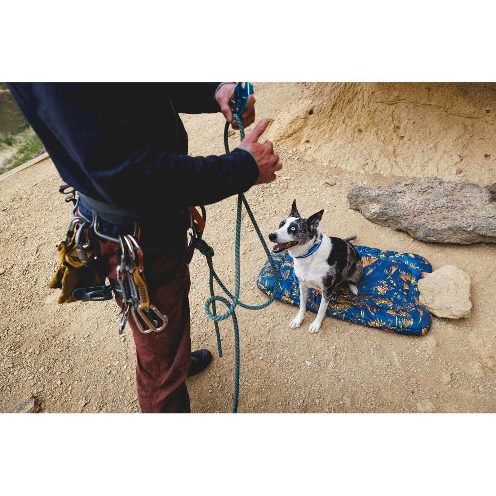 Ruffwear Basecamp Dog Bed in Deep Jungle (Medium)