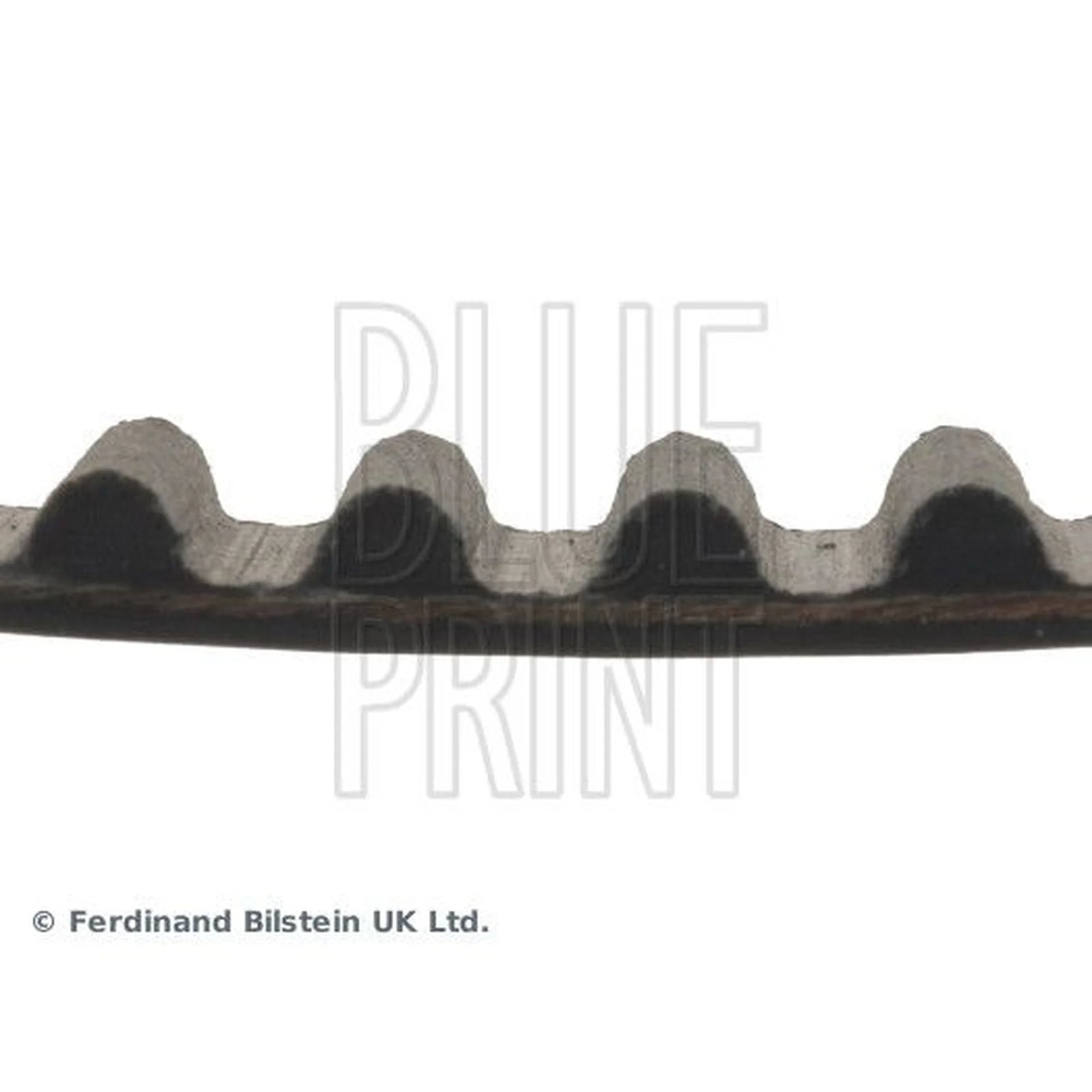 Blue Print Timing Belt Cambelt 123 Teeth ADC47525
