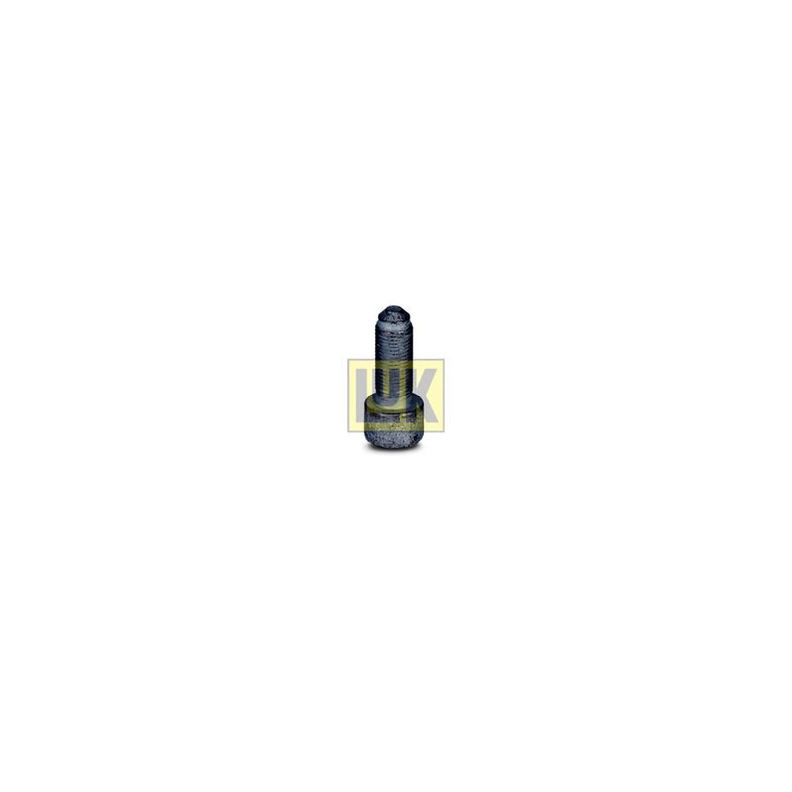 LuK Dmf Bolt Fitting Kit 411015010