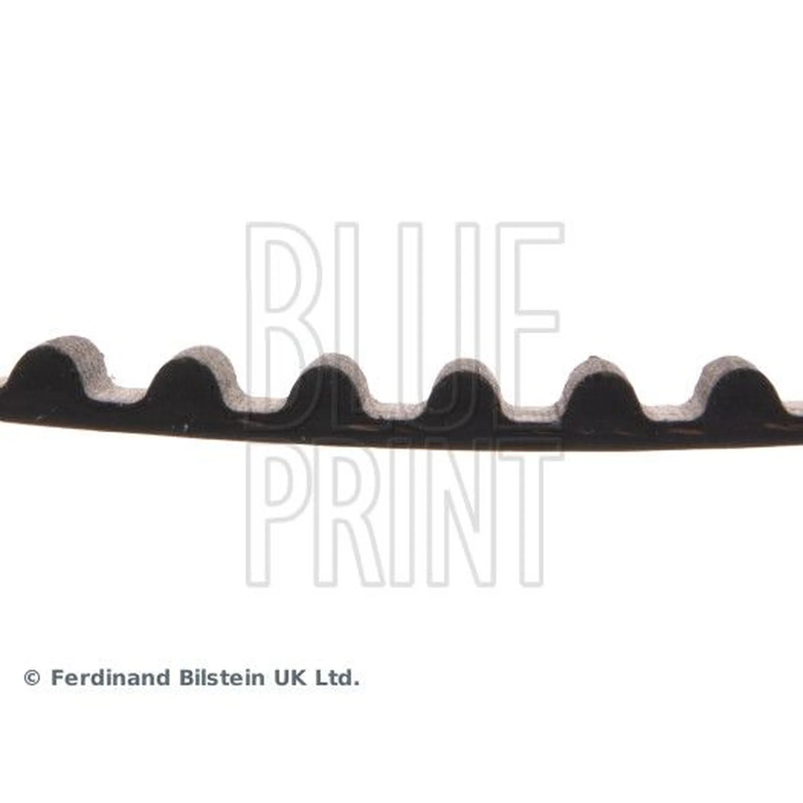 Blue Print Timing Belt Cambelt 127 Teeth ADG07503