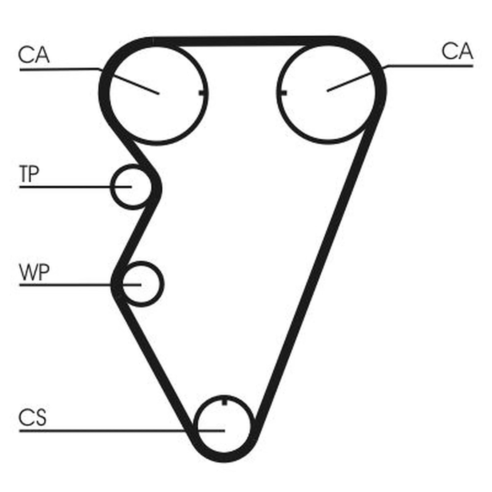 Continental CTAM Timing Belt Cambelt 145 Teeth CT974
