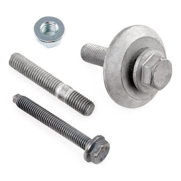 Ina Timing Belt Kit 530023910