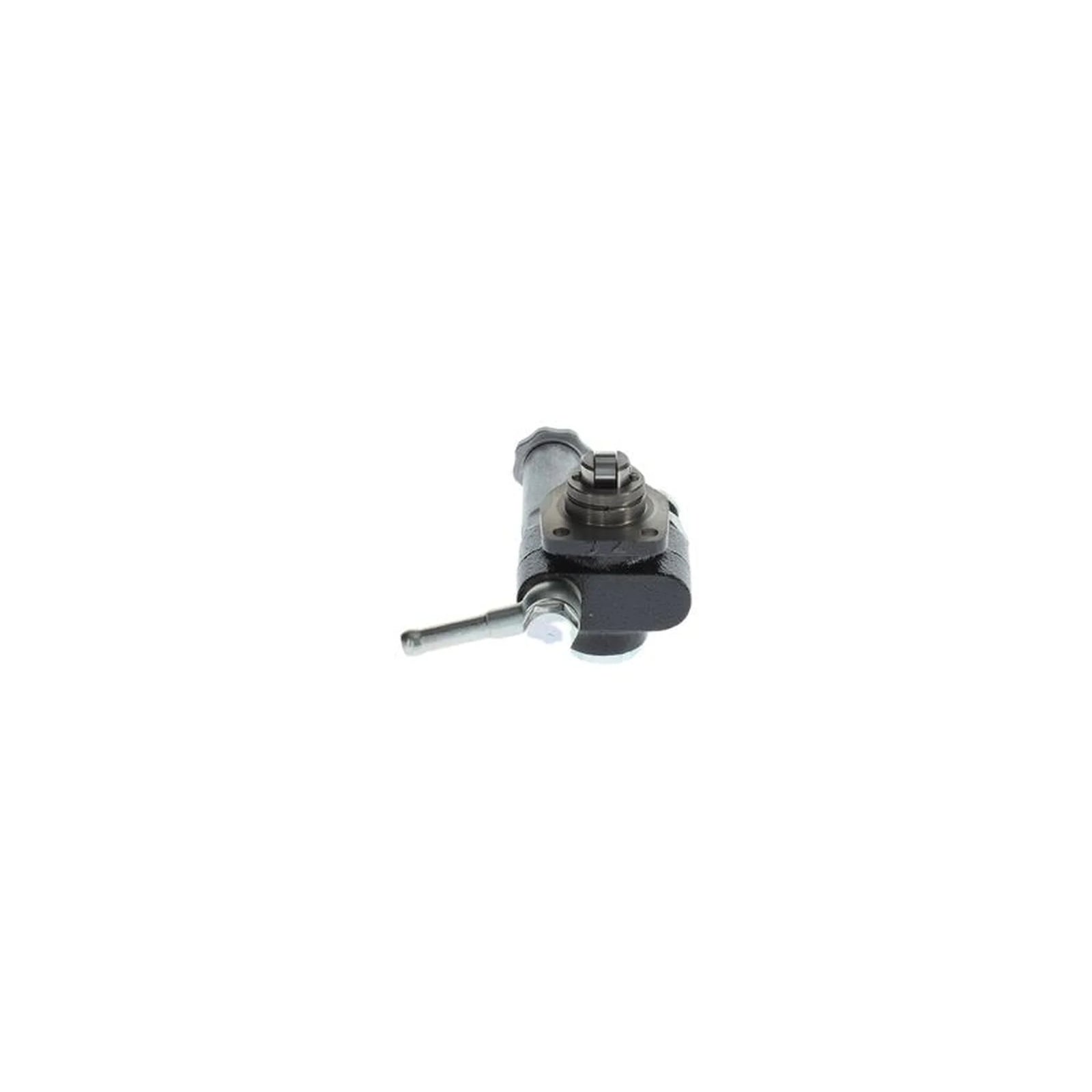 Bosch Fuel Pump Assembly H 105 220 528