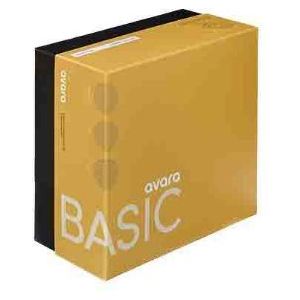 Avara Basic Alarm System 30000
