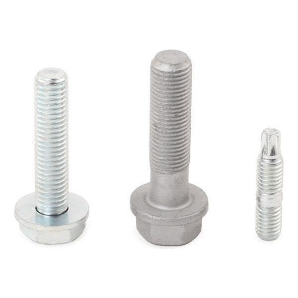 Ina Timing Belt Kit 530049410