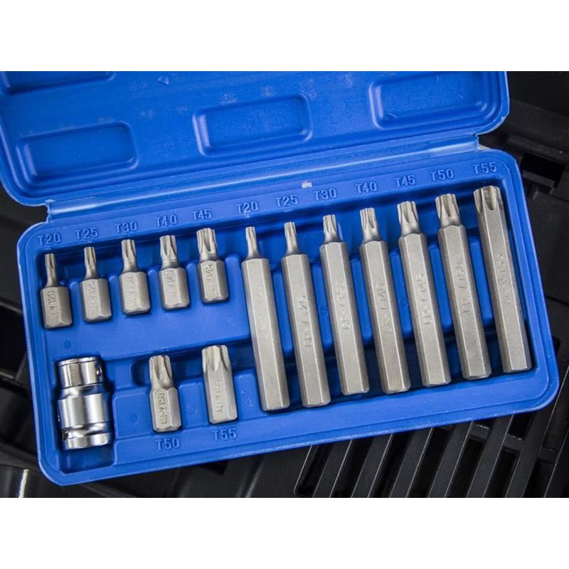 Bluespot Tools TORX Bit Set, 15 Piece