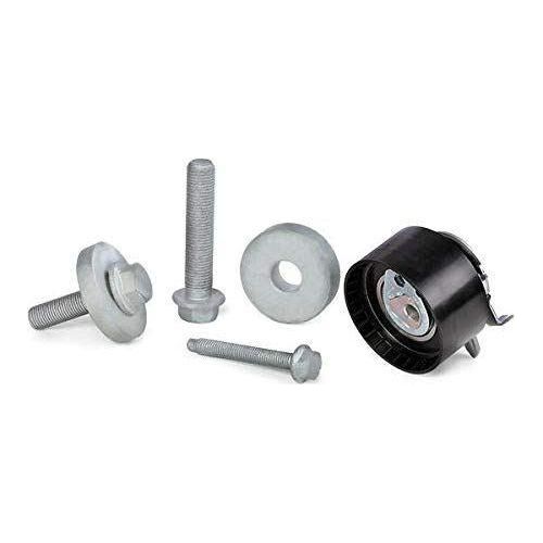 Ina Timing Belt Kit 530019710