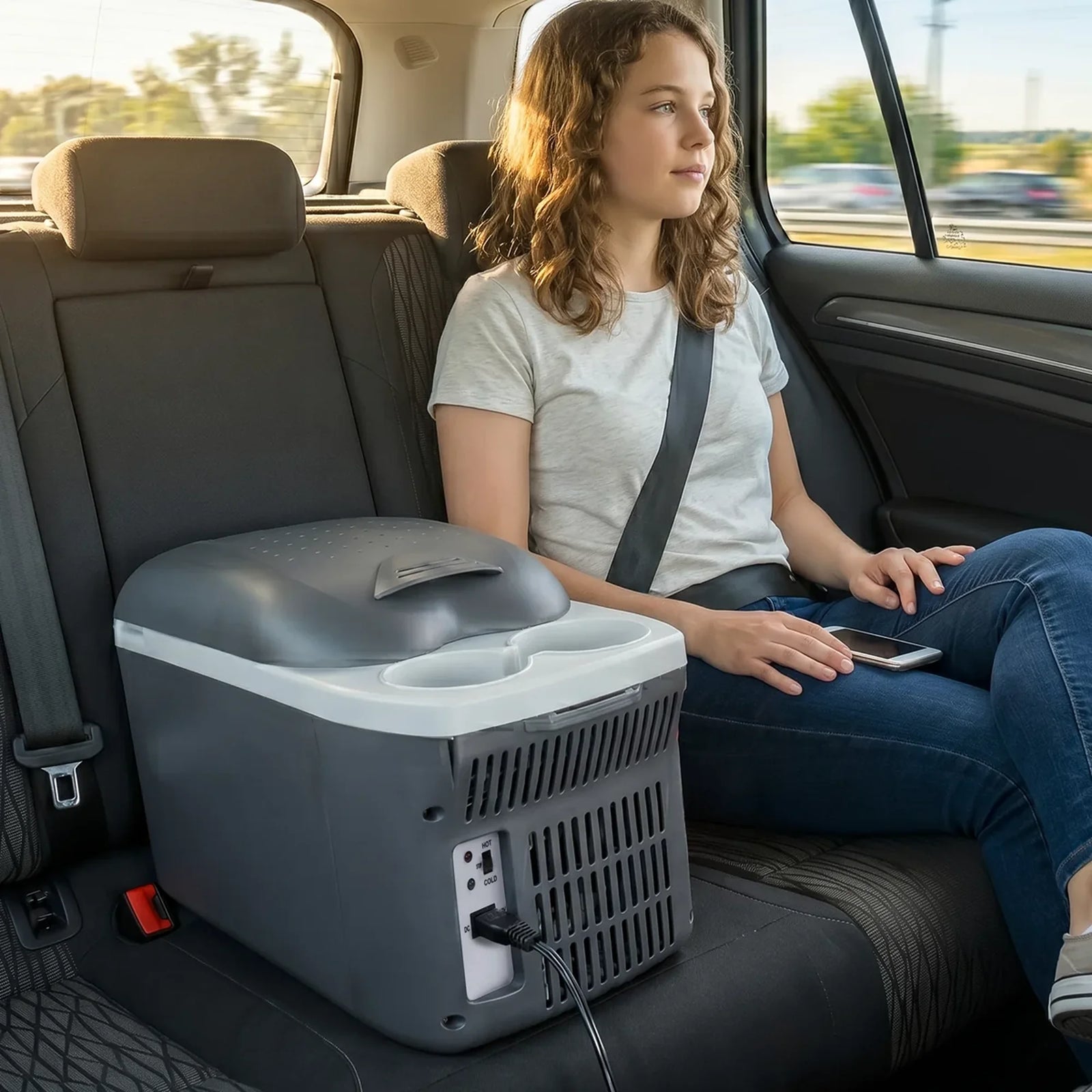Sealey Portable Cool Box 8L 12V Vehicle Power