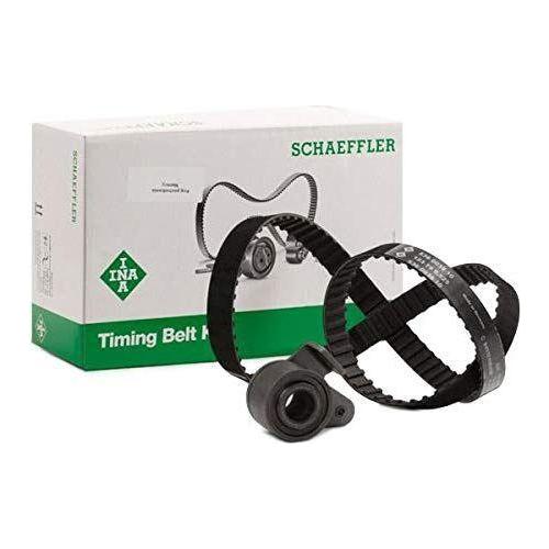 Ina Timing Belt Kit 530024810