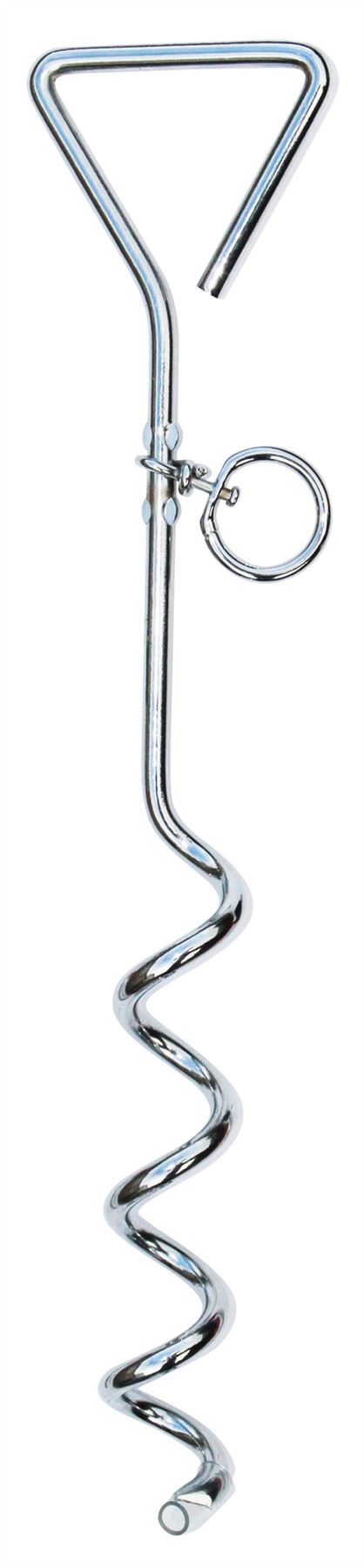 Quest Dog anchor