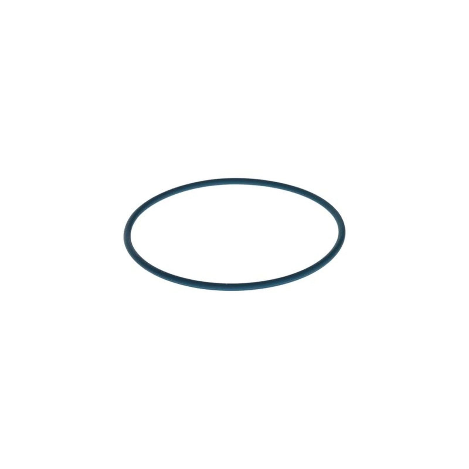 Bosch Rubber Seal Ring F 00N 204 105