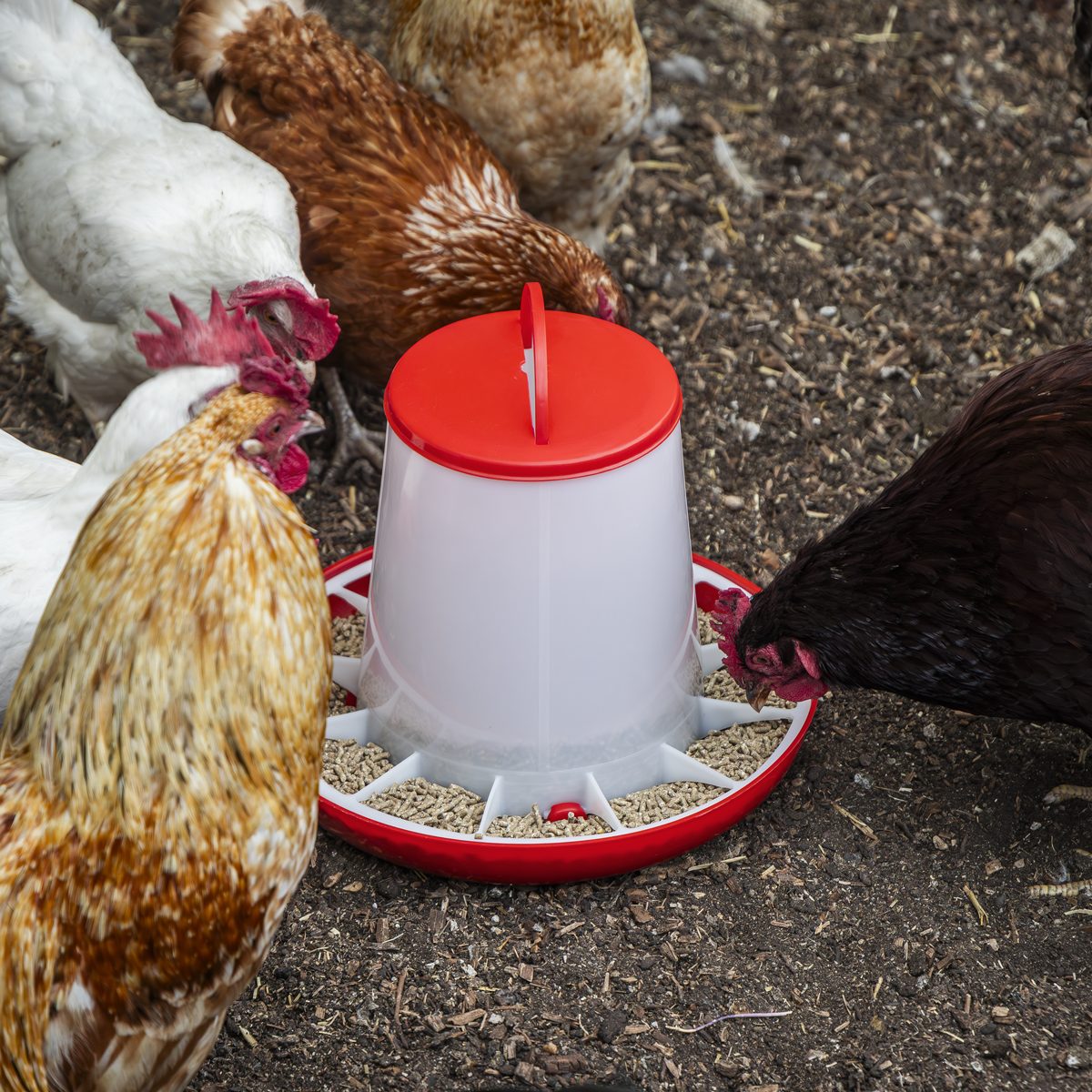 Sealey Poultry Feeder 6kg Model AFT04
