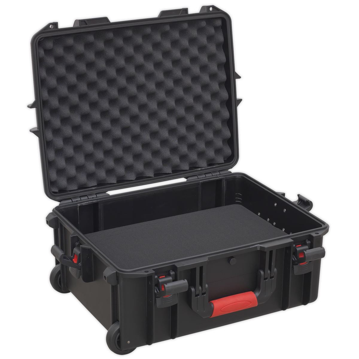 Sealey Professional Water Resistant Storage Case With Ext
